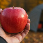 秋キャンプの楽しみ方 - 紅葉と実りの季節を満喫するガイド